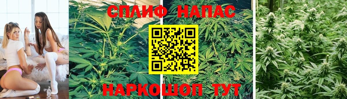 Каннабис AK-47 Гатчина